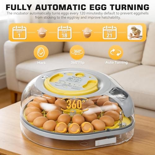 IBKINXX 26 Egg Incubator for Hatching Eggs with Smart Voice Guidance, 360° View with Automatic Temperature & Humidity Control, Auto Egg Turning & Built-in Egg Candler for Chicken, Duck, Goose & Quail - Thumbnail 3
