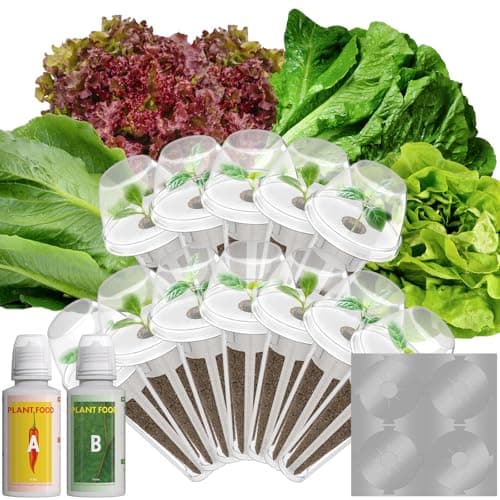 Red Romaine Lettuce Seed Pods for AeroGarden, Ahopegarden, iDOO Hydroponics Growing System Indoor, 400+ Seeds(12-Pods) - Image 1