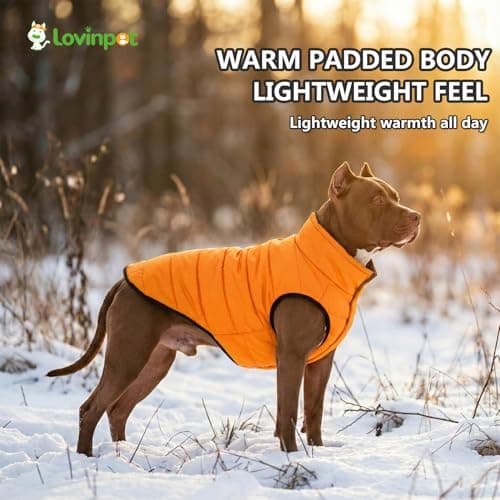 LovinPet Large Dog Puffer Coat, Reversible Down‑Insulated Winter Jacket, Water‑Resistant & Wind‑Resistant, Anti‑Static, Dual-Sided Orange & Grey for Cold Weather, 3XL - Thumbnail 6