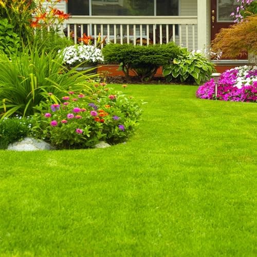 Soil Revitalizer (17.6 oz / 500g), Lawn & Garden Soil Conditioner - Plant Food Enhancer, Concentrated Humic Acid with Fulvic - Yields 266 Gallons (17.6, Ounces) - Thumbnail 4