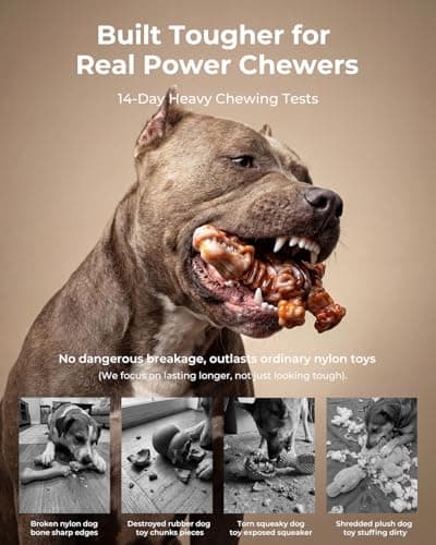 ChienBox 2 Pack Indestructible Dog Chew Toys for Aggressive Chewers: Ultra-Dense Nylon, Bacon Flavor Chew Bones, Heavy Duty Tough Toys for Large Dogs 20-90 lbs, Long Lasting & Keep Them Busy (XL) - Thumbnail 2