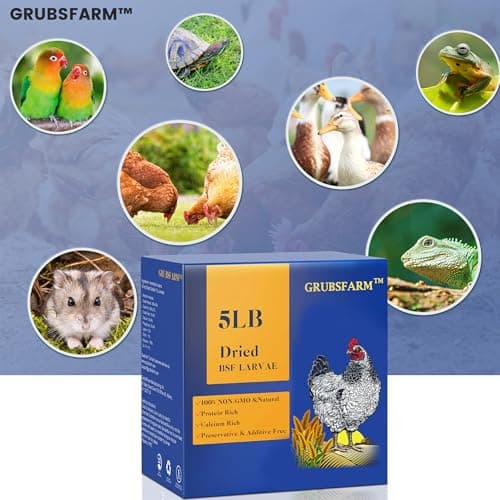 GRUBSFARM Premium Dried Black Soldier Fly Larvae for Chickens 5LBS - Superior to Mealworms - 85X More Calcium Than Meal Worms - Molting & Laying Hens Supplement - Non-GMO BSF Larvae Treats for Ducks - Thumbnail 5