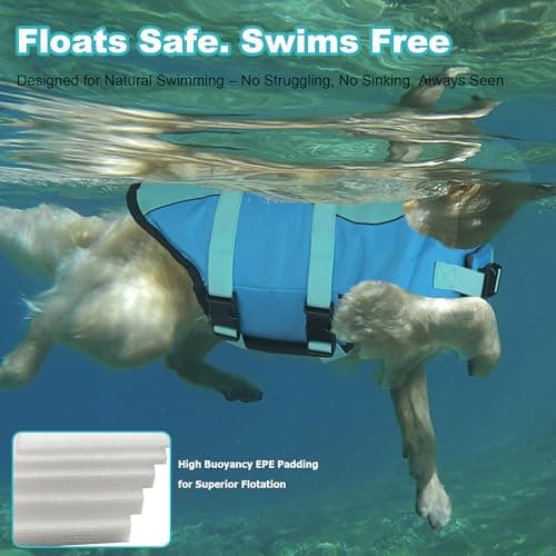 Dogcheer Dog Life Jacket, Cute Shark Dog Life Vest for Swimming Boating with Superior Buoyancy and Rescue Handle, Adjustable Puppy Floating Swim Vest for Small Medium Large Dogs - Pool Blue, S - Thumbnail 4