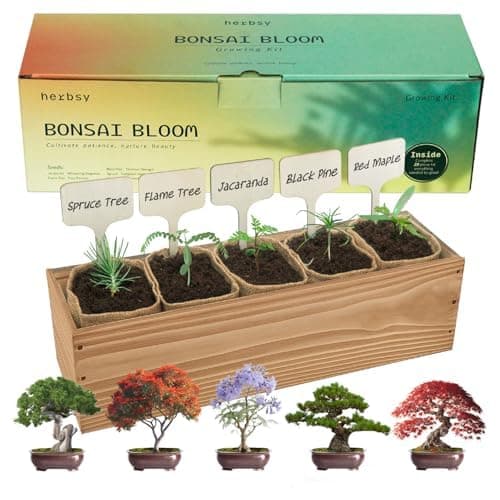 5 Pack Bonsai Tree Kit with Complete Tools, 5X Unique Seeds Bonzai Tree Kits, Indoor Bonsai Starter Kit with Wooden Box, Perfect Christmas Garden Gift for Mom, Men, Women, Plant Lover - Image 1