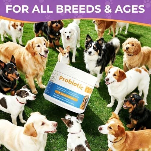 Dog Probiotic Chewable Tablets with Prebiotic & Digestive Enzymes, Daily Gut Supplement for All Breed Dogs, Pork Flavor 90 Count - Thumbnail 3