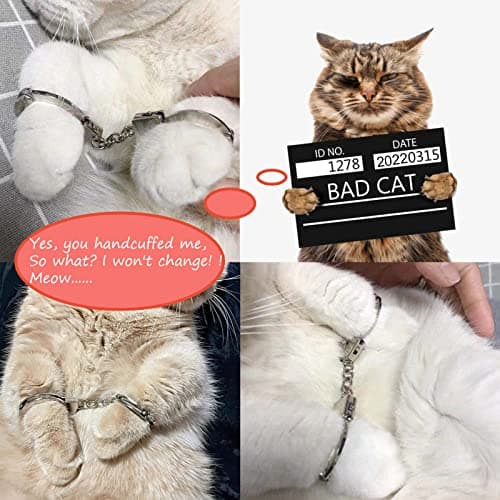 ZB.soar Funny Cat Handcuffs, Key Buckle,Stainless Steel Pet Toy Handcuffs, Mini Pet Handcuff Suitable for Most Small Pets,Increase The Relationship with Your Pets (Metal) - Thumbnail 3
