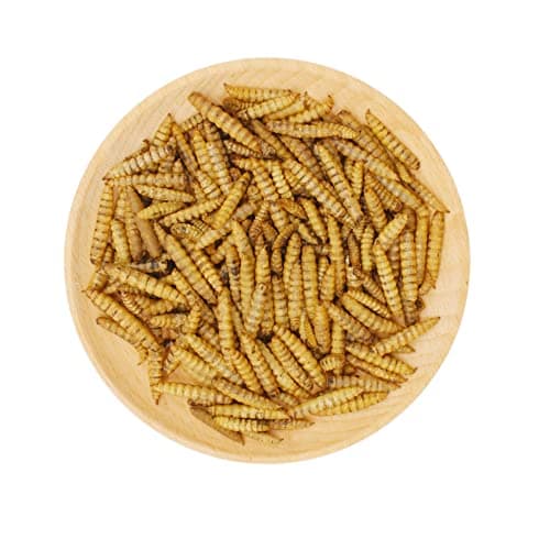 HARTOMPET Better Than Dried Mealworms for Chickens 1 lbs - 85X Calcium Than MealWorms - Non-GMO Chicken Feed Additive & Molting Supplement - Black Soldier fly Larvae Treats for Hens, Ducks, Wild Birds - Thumbnail 6