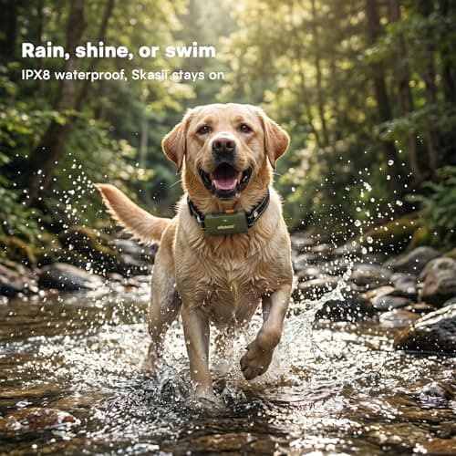 Skasii Training Collar for Dogs with Remote Control, Green - Thumbnail 5