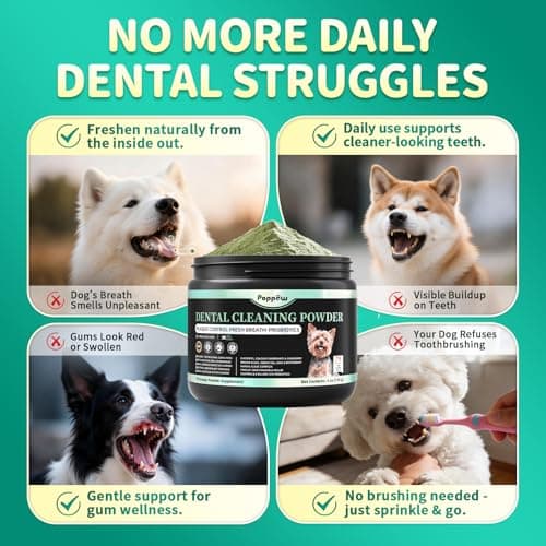 POPPAW Dog Dental Powder – Teeth Cleaning Powder with 6B CFU Probiotics, Enzymes & Antioxidants, Plaque & Tartar Off, Fresh Breath Support, 75 Days, Mint Chicken Flavor, No Brushing Oral Care - Thumbnail 5
