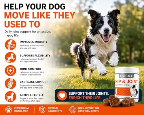 LANDCE Hip and Joint Chews for Dogs, 200 Soft Chews with Glucosamine Chondroitin, MSM, Green Lipped Mussel, UC-II Collagen & Hyaluronic Acid, Mobility Support for Dogs - Thumbnail 3