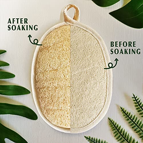 YIQINGJIE Natural Loofah Sponge Exfoliating Body Scrubber(4 Packs),Made with Eco-Friendly and Biodegradable Soft Shower Luffa Sponge, Loofah for Women and Men, Brown - Thumbnail 2