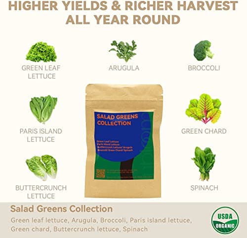 inbloom Salad Green Seed Pod Kit for Hydroponics Growing System, 12 Pods (350+ Seeds with American Fast/Paris Island/Buttercrunch Lettuce, Swiss Chard, Spinach, Cauliflower, and Wild Cabbage) - Thumbnail 2