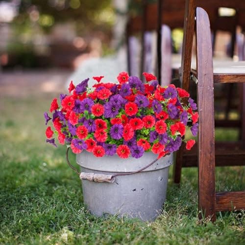 ADXORA 12 Bundles Morning Glory Artificial Flowers for Outdoor Decoration UV Resistant Fake Plastic Plants Artificial Greenery for Indoor Outdoor Garden Patio Window Box Home Decor - Thumbnail 4