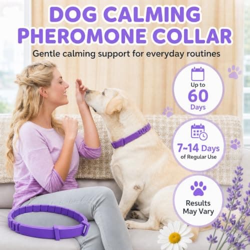 Calming Collar for Dogs 4 Pack, Purple Dog Calming Collar for Anxiety & Stress Relief, Pheromone Dog Collar for Small Medium Large Dogs, 240 Days Protection Each - Thumbnail 2