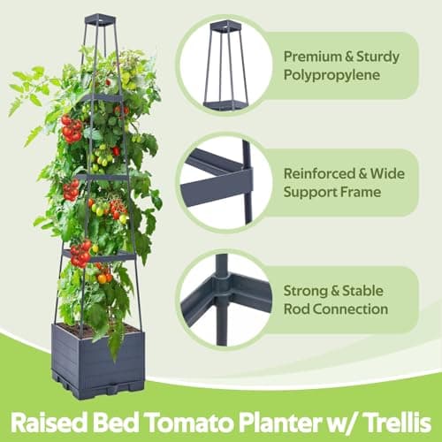 Self Watering Tomato Planter for Growing Tomatoes - 55" Raised Garden Bed Planter Box with Trellis for Climbing Plants - Tomato Support Cage for Vine Vegetables Flowers Greenhouse Indoor Outdoor - Thumbnail 2