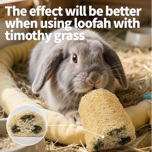 BESNEW 3 PCS Rabbit Chew Toys,100% Natural Loofah Without Additives,Bunny Chew Toys for Teeth,Fiber-Rich Rabbit Treats for Bunny Chinchilla Dogs - Thumbnail 3