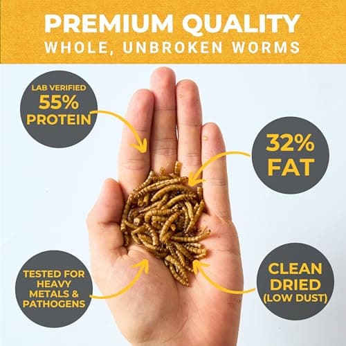 Nature Anywhere Mealworms for Chickens 5LB Mighty Mealworm, Chicken Feed Topper, Chicken Food for Laying Hens, No Fillers, SGS Tested, Resealable Bag, Bird Food for Outside Wild Birds - Thumbnail 2