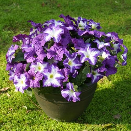 FULLMUSIC Spring Artificial Flowers for Outdoors, UV Resistant Fake Morning Glory, Look Real Faux Silk Plants for Front Door Garden Porch Planter - Thumbnail 3