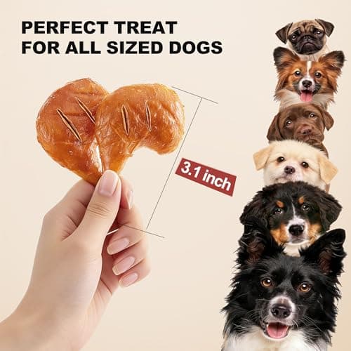 PETPHABET Rawhide Free Dog Chew Bones - 11 Count Grilled Chicken Leg Dog Chews for Small Medium Breeds, Healthy Puppy Treats for Training & Teething, Made with Real Chicken, Natural Smoky Flavor - Thumbnail 4