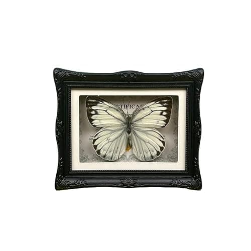 1Pcs Real Butterfly Framed Handmade, Taxidermy Butterfly Shadow Box Collection, Framed Butterfly Taxidermy for Oddities and Curiosities Gifts Tabletop Ornaments (#17-butterfly Specimen+photo Frame) - Image 1