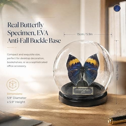 Wugakio Glass Taxidermy Butterfly Specimen Shadow Box, Butterfly Gifts for Women Girls with Glass Cover, Butterfly Decor for Bedroom Office Living Room Desk (Kallima inachus) - Thumbnail 3
