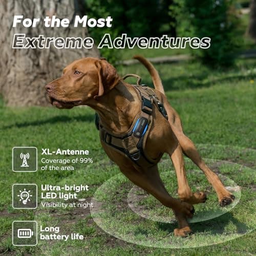 DBDD AI GPS Tracker for Dogs (30lbs+) - Real-Time Location & AI Health Assistant, Electronic Fence Collar for Escape Artists, Waterproof Dog GPS Tracker for Medium Large Dogs, iOS Android - Thumbnail 2