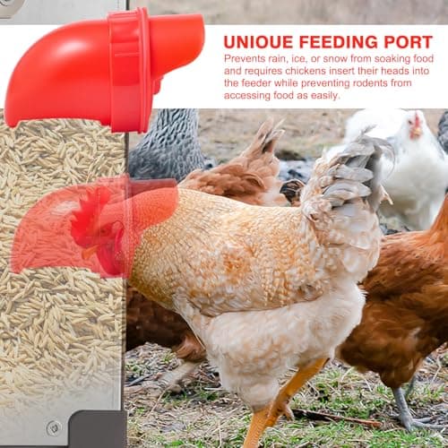 AOTECC Metal Chicken Feeder, 40lb Automatic Chicken Feeder - 6 Feeding Ports, No Waste Poultry Feeder with Locking Lid & Legs for Outdoor Inside Chicken Coops Geese Ducks, Weatherproof, Rodent Proof - Thumbnail 4