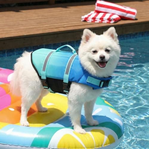 Doglay Dog Life Jacket, Life Vest for Swimming and Boating, Adjustable Puppy Life Jacket with Reflective Stripes, Superior Buoyancy Pet Swimming Vest for Small Medium and Large Dogs - Thumbnail 3