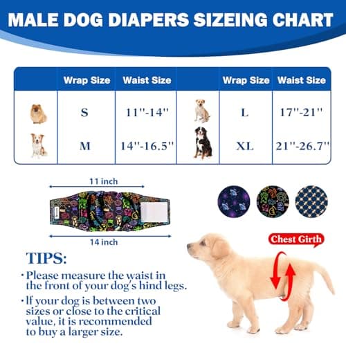 GIXSEGIE Reusable Dog Diapers Male, Washable Premium Belly Bands for Male Dogs-Pack of 3, High Absorbing Small Dog Wraps, for Doggie & Puppy in Incontinence or Excitable Urination and Training (M) - Thumbnail 2