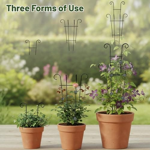 25.6 Inch Plant Trellis for Climbing Plants, 4 Pack Metal Garden Trellis for Potted Plants Indoor House Plant Climber Support Stakes with Plant Clips for Monstera Pothos Hoya Ivy Flower - Thumbnail 4