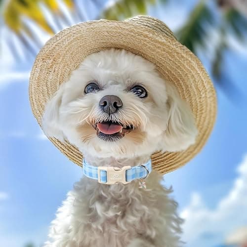 Babole Pet Boy Dog Collar Blue Gingham Dog Collars for Large Dogs - Lightweight Adjustable Spring/Summer Plaid Male Female Dogs Everyday Collar with Safety Buckle L - Thumbnail 2