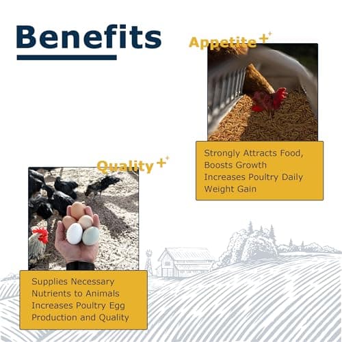 HARTOMPET Chicken Feed Dried Black Soldier Fly Larvae, 10LB Natural Poultry Treat, 85X Calcium vs Mealworms for Laying & Molting Hens, Nutrient-Rich Feed for Ducks & Wild Birds, Reptiles - Thumbnail 4