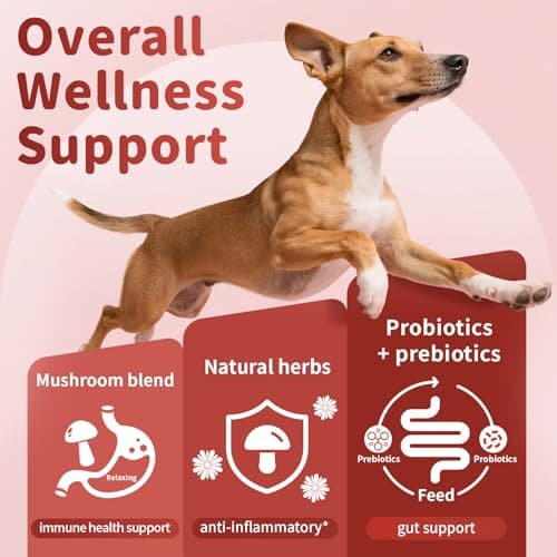 Dog Allergy Chews - Paw Licking, Seasonal Allergy & Itch Relief - Probiotics for Dogs Immune & Gut Health with Turkey Tail Mushroom, Pumpkin - Chicken Flavor - 90 Count - Thumbnail 4