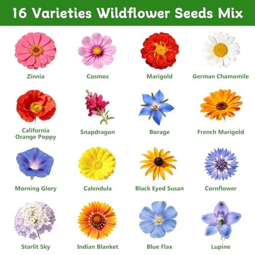 LUOJIBIE Wildflower Seeds Bulk, 10,000+ Flowers Seeds for Planting Outdoor, 16 Varieties Annual & Perennial Flowers Seeds Mix Color for Garden, 2 Oz Packet, Non-GMO, Attracts Pollinators, Easy to Grow - Thumbnail 3