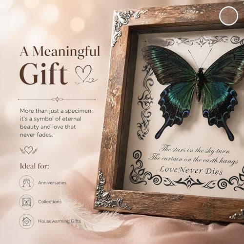 Wugakio Real Butterfly Framed - Hanging wood grain photo frame, Taxidermy Animals for Oddities and Curiosities Gifts (papilio maackii - Wood Grain Photo Frame) - Thumbnail 5