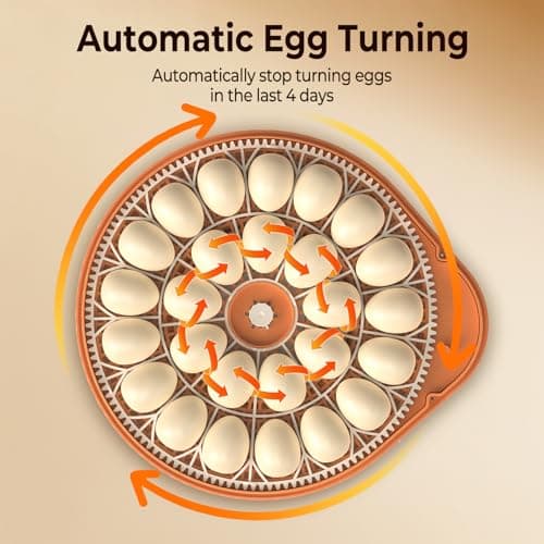 Incubators for Hatching Eggs, Smart Voice Control, 26 Eggs Incubator with Automatic Egg Turning and Humidity Control, LED Egg Candler, Incubation Days Display, for Chicken, Duck, Goose, Bird Eggs - Thumbnail 5