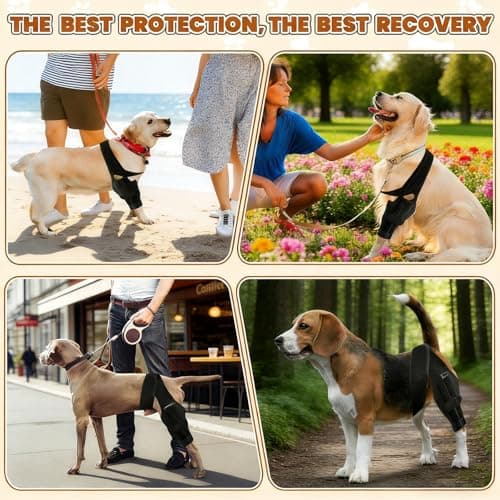 EGBULL Dog Hind Leg Support Brace - Thumbnail 5