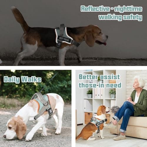 AUROTH Dog Harness No Pull Soft Padded Service Dog Vest, No Choke, Easy On Pet Vest with Handle, Adjustable Reflective Dog Harness for Small, Medium and Large Dogs, Easy Walking and Training - Thumbnail 2