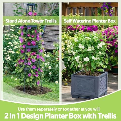 Jesosia Tomato Planter Box with Trellis & Wheels - Mobile Raised Garden Bed with Tomato Cages for Climbing Plants - Tomato Trellis w/Rolling Planter Support for Flower Vegetable Vine Indoor Outdoor - Thumbnail 4