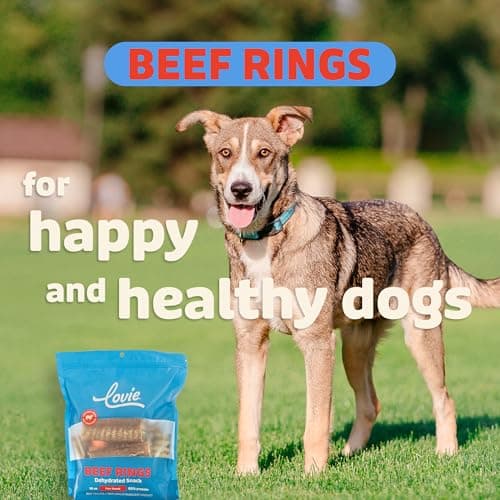 Lovie Beef Lung Dog Treats - Dehydrated Air Dried Soft Bites, Single Ingredient, Protein Rich, 16 oz (Beef Rings) - Thumbnail 4