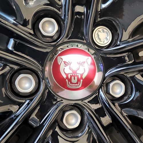 Farad DLF/E Galvanized Silver Lug Nut Wheel-Locks Kit Suitable for Jaguar F-Pace (M14 X 1.5 Thread Size) - Set of 4 Lug Nuts + 1 Key - Thumbnail 2