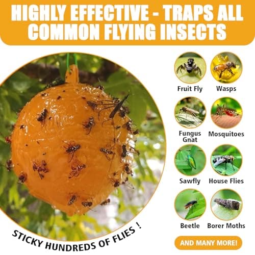 Osspeh Sticky Fruit Fly Trap Ball, Flying Traps Outdoor and Bugs Sticky Ball, Sticky Fly Gnat Mosquito Bugs Flying Killer and Insects Trap Ball Traps(6pcs Yellow) - Thumbnail 2