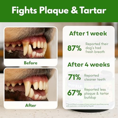 Pupzle Dog Teeth Cleaning Powder for Fresh Breath, Dog Dental Powder, Tartar & Plaque Focused, Natural Breath Freshener, Pet Dental Supplement with Probiotics for Gut Health, Mint, 60 Days Supply - Thumbnail 5