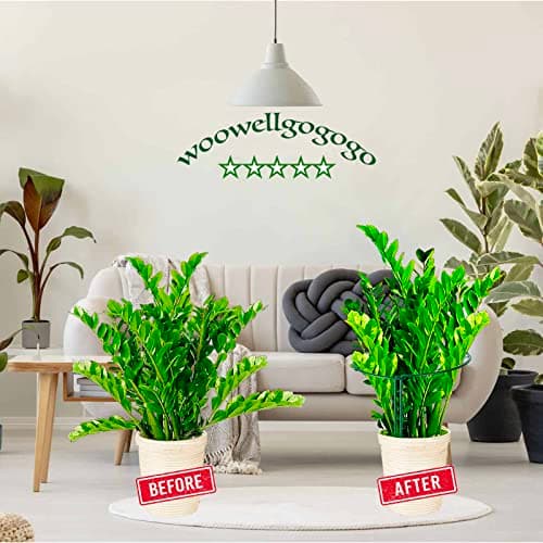 WooWellGoGoGo 10-Pack Half Round Snake Plant Support Stakes, Plant Support Ring for Hydrangea, Peony, Dahlia and More, Rust-Proof Plant Cages for Indoor and Outdoor Potted Plants (14x8Inch) - Thumbnail 4