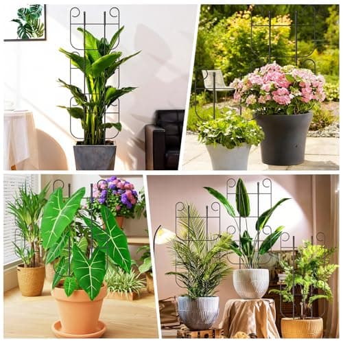 4 Pack Trellis for Climbing Plants Indoor, Expandable Small Metal Trellis for Potted Plants, Flowers Vine Ivy, Sturdy Houseplant Pothos Plant Climber Support - Thumbnail 5