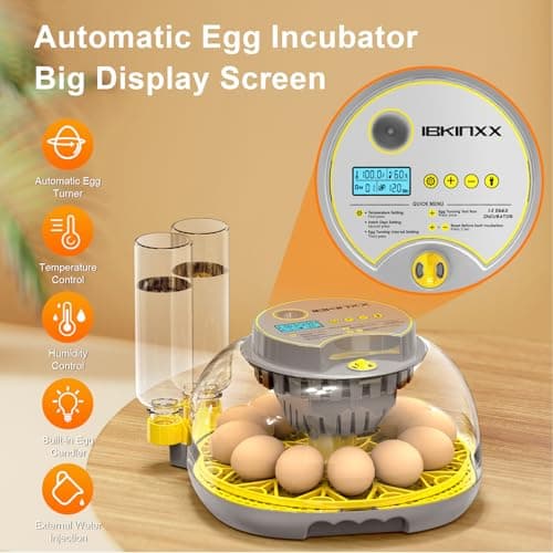 IBKINXX Incubator for Hatching Eggs-12 Egg Capacity, 2026 Newly Upraded Automatic Egg Turner, Temperature & Humidity Control, 360° Viewing for Chicken, Duck and Quail Eggs (Grey) - Thumbnail 3