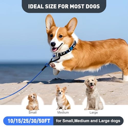 Libbipaw Dog Tie Out Cable 10FT Heavy Duty Chew Proof, Tangle-Free Runner with 360° Swivels & Locking Clip for Large Dogs Up to 250LBS - Rust Proof Leash for Yard, Camping, Outside (Blue 10FT) - Thumbnail 6