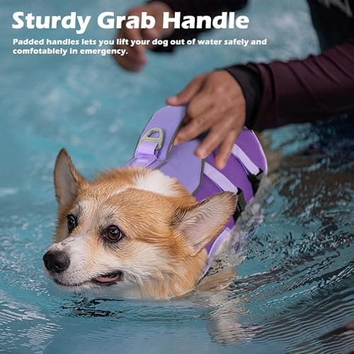 Petglad Dog Life Jacket, High Buoyancy Dog Life Vest with Handle for Swimming Boating, Adjustable Swimming Vest with Reflective Trim for Small Medium Large Dogs - Purple, S - Thumbnail 2