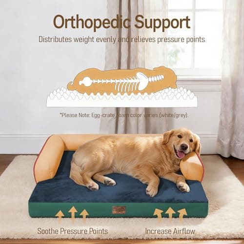 Comfort Expression Extra Large Dog Bed - XL Washable Orthopedic Ped Bed for Big Dog Waterproof Couch Memory Foam Sofa Bolster with Removable Cover - 42 x 30 - Thumbnail 2