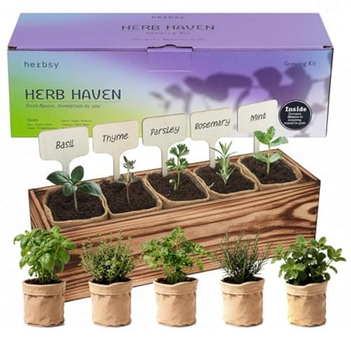 5 Herb Garden Kit with Wooden Box – Basil, Thyme, Parsley, Rosemary, Mint – Windowsill Herb Garden for Kitchen – Mother’s Day Gift for Mom, Gardening Gift for Women – Birthday Housewarming - Image 1